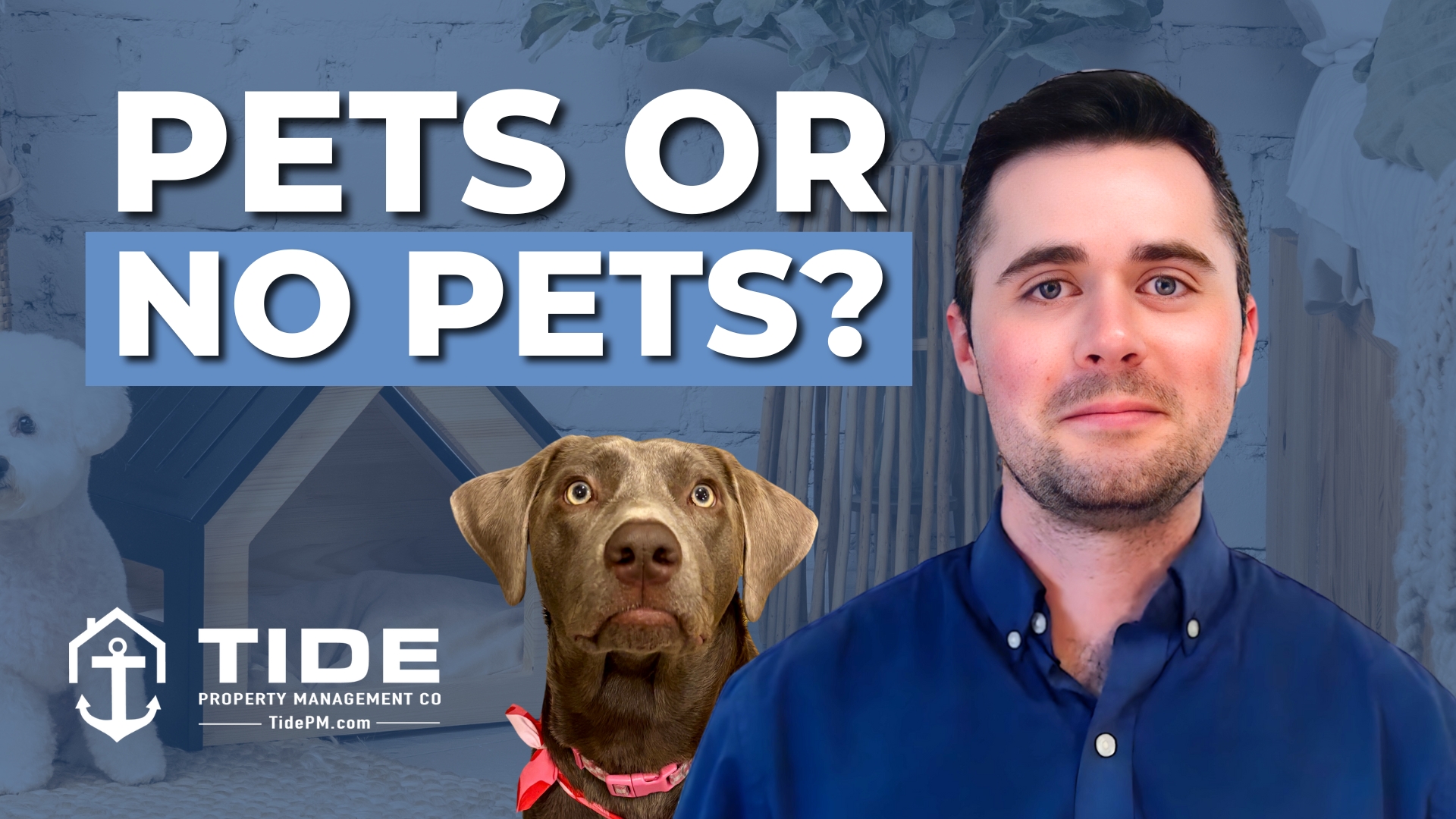 Should You Allow Pets in Your Rental Property?